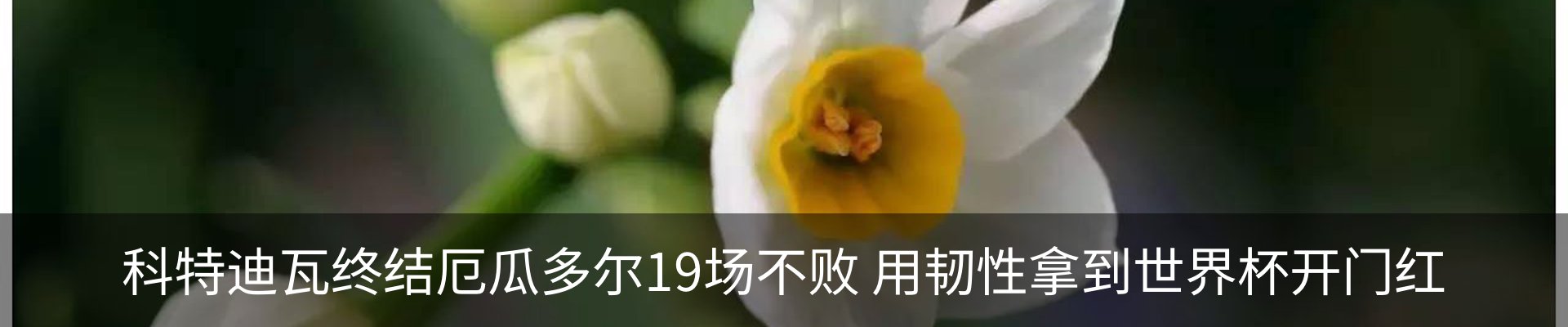 资讯中心